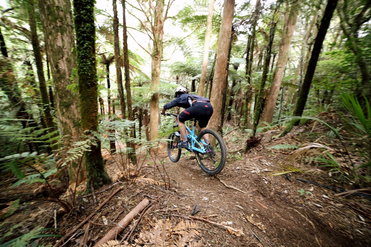 Auckland Enduro Series - RD3 Glenbervie Forest