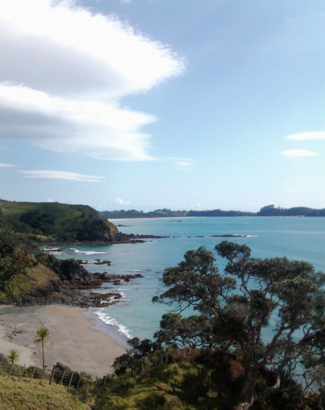 Trail Review - Sandy Bay - Whananaki walk/cycle way