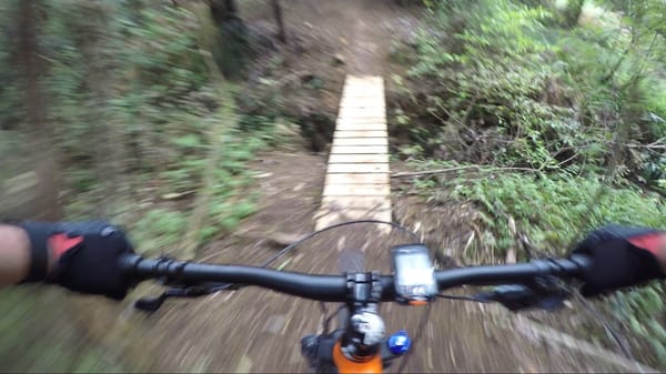Glenbervie Forest Whangarei - Ride Review