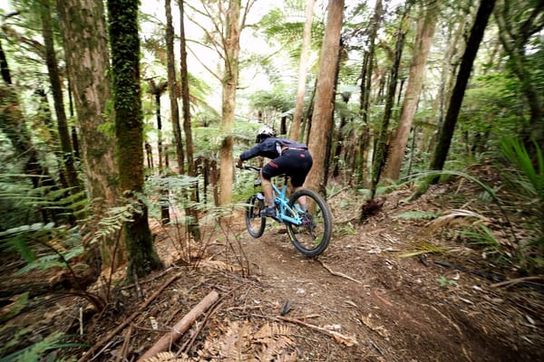 Auckland Enduro Series - RD3 Glenbervie Forest