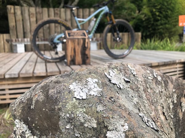 Niner RIP 9 RDO 2019 - Ride Review